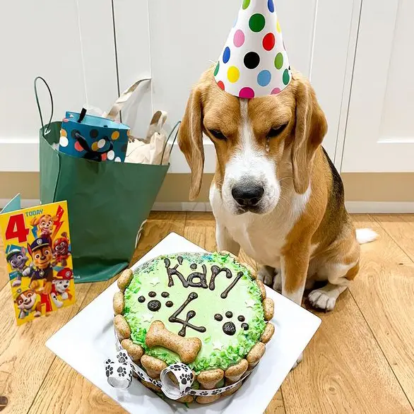 Karl’s Fourth Birthday: Embracing Solitude and Finding Luck in ...